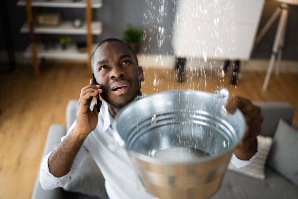 Best Carpet water damage restoration  in Union City, MI