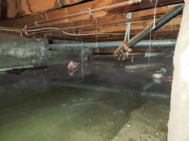 Best Water damage restoration insurance claims  in Union City, MI