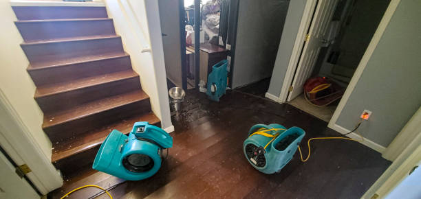 Best Water damage restoration cost  in Union City, MI