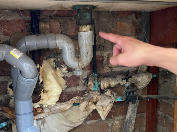 Best Emergency water damage restoration  in Union City, MI
