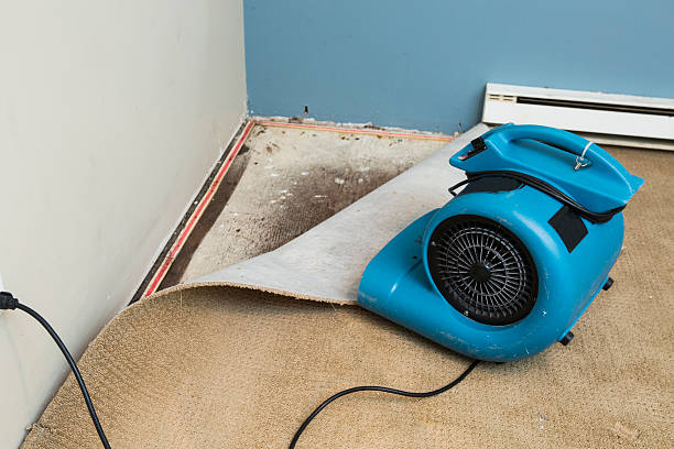 Best Water damage mitigation services  in Union City, MI