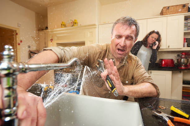 Best Water damage restoration services  in Union City, MI
